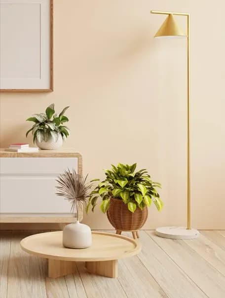 Furniture and Decor Curation