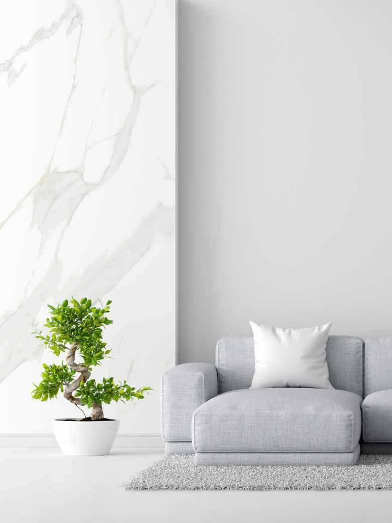 Revitalise Any Living Space on a Budget with These Top Ideas!