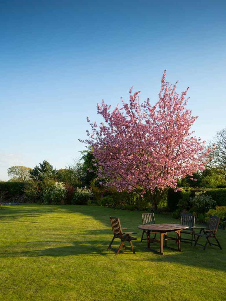 20 Crazy Garden Furniture Knowhows