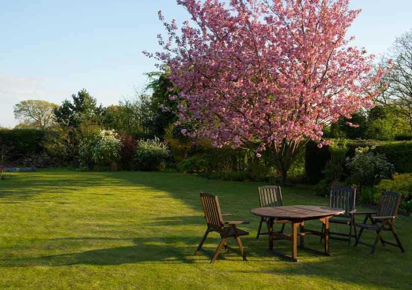 20 Crazy Garden Furniture Knowhows
